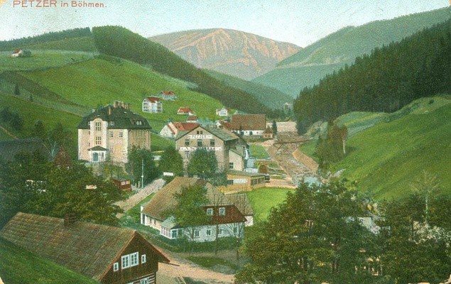 Petzer im Bömen