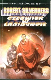 Człowiek w labiryncie