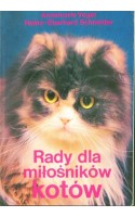 Rady dla miłośników kotów