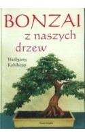 Bonzai z naszych drzew
