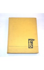 Wiadomości o stylach / Witwicki